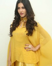 Actress Amyra Dastur Interview Photos