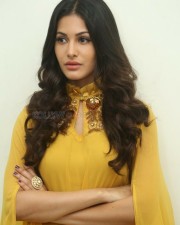 Actress Amyra Dastur Interview Photos