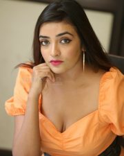 Actress Ashi Roy At Ks Movie Interview Photos