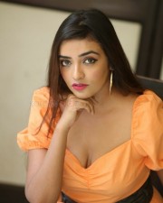 Actress Ashi Roy At Ks Movie Interview Photos