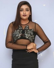 Actress Ashi Roy At Ks  Movie Trailer Launch Photos