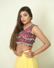 Actress Ashi Roy At Ks  Poster Launch Event Pictures
