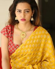 Actress Geetha Shah Hot Photos