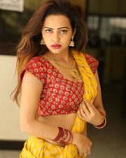 Actress Geetha Shah Hot Photos