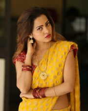 Actress Geetha Shah Hot Photos