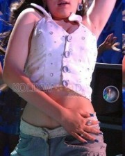 Actress Hansika Motwani Spicy Sexy Photos