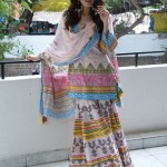 Hansika Motwani 14