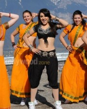 Actress Hansika Sexy Photos
