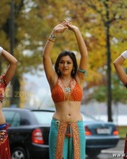 Actress Hansika Sexy Pictures