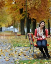 Actress Hansika Sexy Pictures