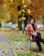 Actress Hansika Sexy Pictures