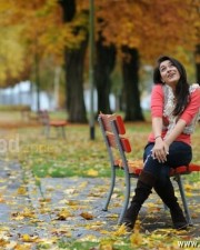 Actress Hansika Sexy Pictures