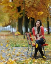 Actress Hansika Sexy Pictures