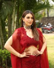 Actress Hansika at My Name Is Shruthi Trailer Launch Event Pictures 19