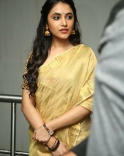 Actress Priyanka Arul Mohan At Gang Leader Movie Press Meet Pictures
