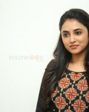 Actress Priyanka Arul Mohan At Gang Leader Movie Success Meet Photos