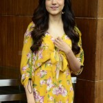 Actress Ritu Varma at Tuck Jagadish Movie Interview Pictures 02 Actress Ritu Varma at Tuck Jagadish Movie Interview Pictures 02