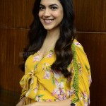 Actress Ritu Varma at Tuck Jagadish Movie Interview Pictures 06 Actress Ritu Varma at Tuck Jagadish Movie Interview Pictures 06