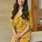 Actress Ritu Varma at Tuck Jagadish Movie Interview Pictures 23 Actress Ritu Varma at Tuck Jagadish Movie Interview Pictures 23