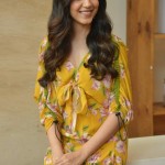 Actress Ritu Varma at Tuck Jagadish Movie Interview Pictures 24 Actress Ritu Varma at Tuck Jagadish Movie Interview Pictures 24