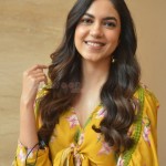 Actress Ritu Varma at Tuck Jagadish Movie Interview Pictures 27 Actress Ritu Varma at Tuck Jagadish Movie Interview Pictures 27
