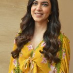 Actress Ritu Varma at Tuck Jagadish Movie Interview Pictures 28 Actress Ritu Varma at Tuck Jagadish Movie Interview Pictures 28