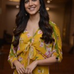 Actress Ritu Varma at Tuck Jagadish Movie Interview Pictures 29 Actress Ritu Varma at Tuck Jagadish Movie Interview Pictures 29