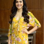 Actress Ritu Varma at Tuck Jagadish Movie Interview Pictures 33 Actress Ritu Varma at Tuck Jagadish Movie Interview Pictures 33