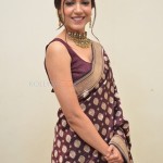 Actress Ritu Varma at Varudu Kaavalenu Movie Pre Release Event Pictures 09 Actress Ritu Varma at Varudu Kaavalenu Movie Pre Release Event Pictures 09