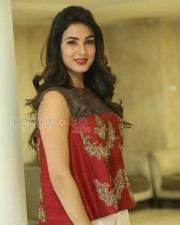 Actress Sonal Chauhan New Pictures