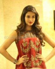 Actress Sonal Chauhan New Pictures