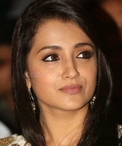 Actress Trisha Face Closeup 01