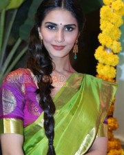 Actress Vaani Kapoor Saree Pictures