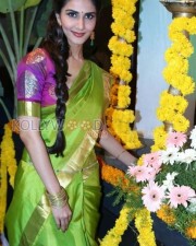Actress Vaani Kapoor Saree Pictures