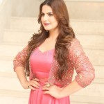 Actress Zarine Khan At Chanakya Trailer Launch Photos 08Actress Zarine Khan At Chanakya Trailer Launch Photos 08 svg%3E