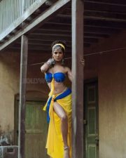 Adult Actress Poonam Pandey Sexy Hot Photoshoot Stills 05