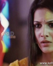 Anegan Heroine Amyra Dastur Photos