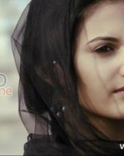 Anegan Heroine Amyra Dastur Photos