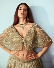 Attractive Amyra Dastur in a Light Green Lehenga with a Shimmering Skirt Photos 02