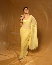 Beautiful Amyra Dastur in a Yellow Saree with a Yellow Metallic Sleeveless Blouse Photos 01 Beautiful Amyra Dastur in a Yellow Saree with a Yellow Metallic Sleeveless Blouse Photos 01