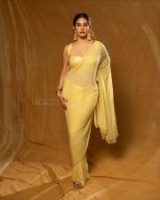 Beautiful Amyra Dastur in a Yellow Saree with a Yellow Metallic Sleeveless Blouse Photos 02 Beautiful Amyra Dastur in a Yellow Saree with a Yellow Metallic Sleeveless Blouse Photos 02