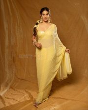 Beautiful Amyra Dastur in a Yellow Saree with a Yellow Metallic Sleeveless Blouse Photos 03 Beautiful Amyra Dastur in a Yellow Saree with a Yellow Metallic Sleeveless Blouse Photos 03