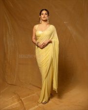 Beautiful Amyra Dastur in a Yellow Saree with a Yellow Metallic Sleeveless Blouse Photos 06