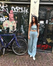 Beautiful And Bold Amyra Dastur Pictures