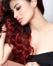 Beautiful Mouni Roy Photos