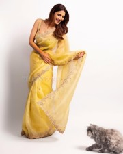 Beautiful Vaani Kapoor in a Golden Ethnic Saree Pictures 01
