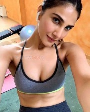 Vaani Kapoor 40 Bollywood Actress Vani Kapoor Pictures