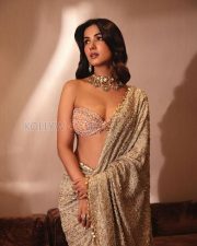 Breathtaking Actress Sonal Chauhan in a Pink Bustier Gold Saree Photos 02