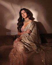 Breathtaking Actress Sonal Chauhan in a Pink Bustier Gold Saree Photos 04