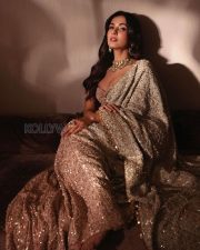 Breathtaking Actress Sonal Chauhan in a Pink Bustier Gold Saree Photos 05